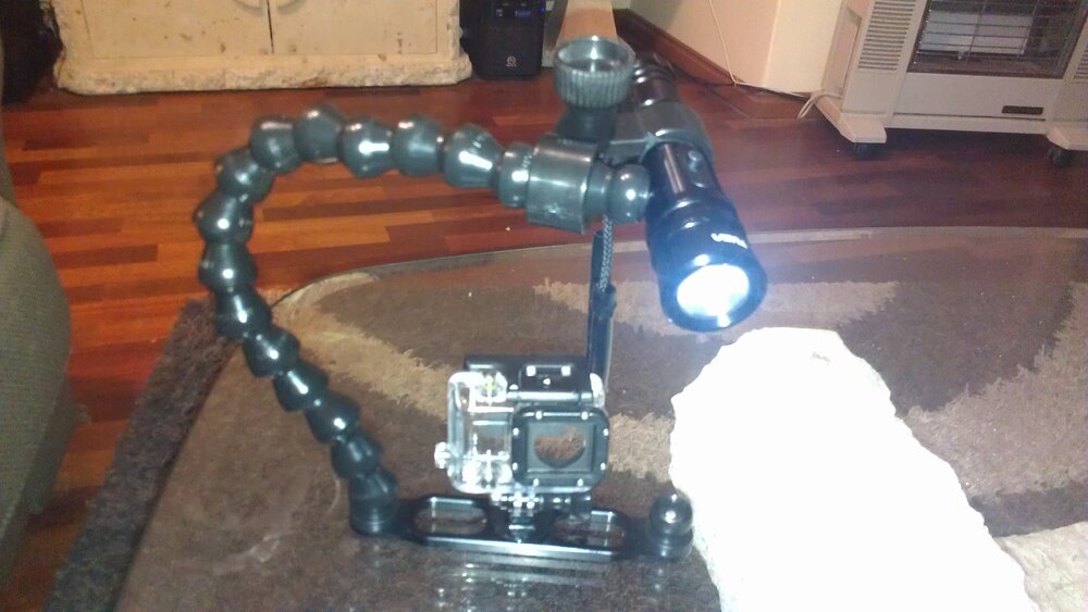 IMAG0638.jpg