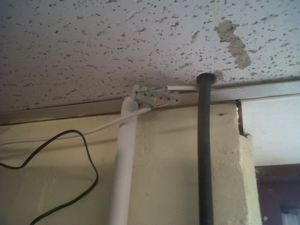IMG-20120612-00129.jpg