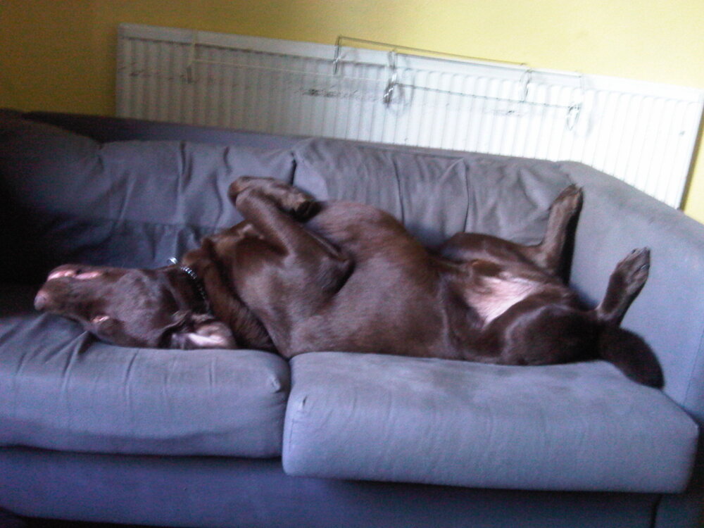 IMG00301-20091004-1221.jpg