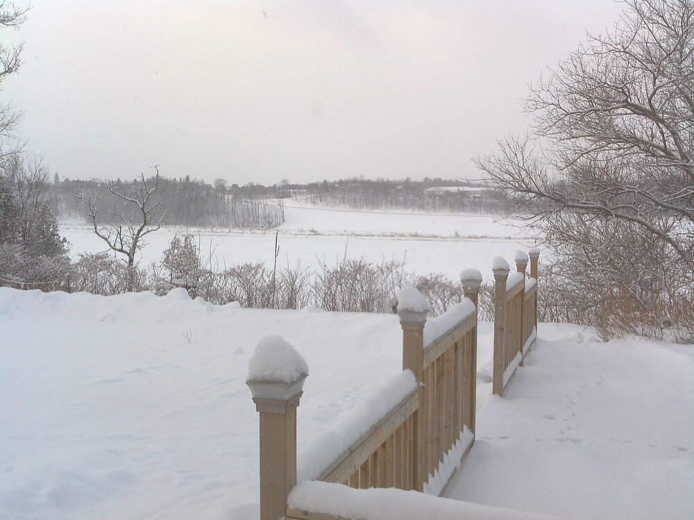IMG_20130101_094649.jpg