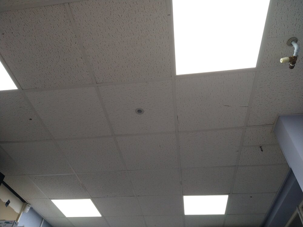 IMG_20210119_144341117.jpg
