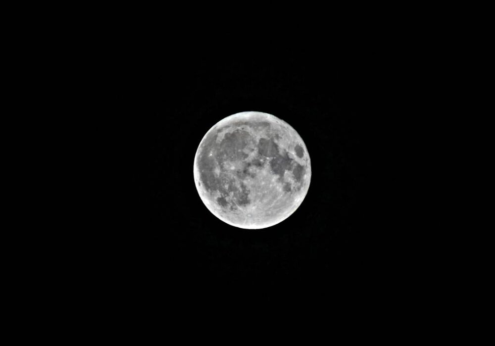 IMG_6985.jpeg