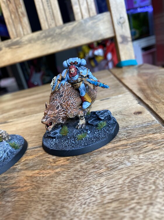 IMG_7774.jpg