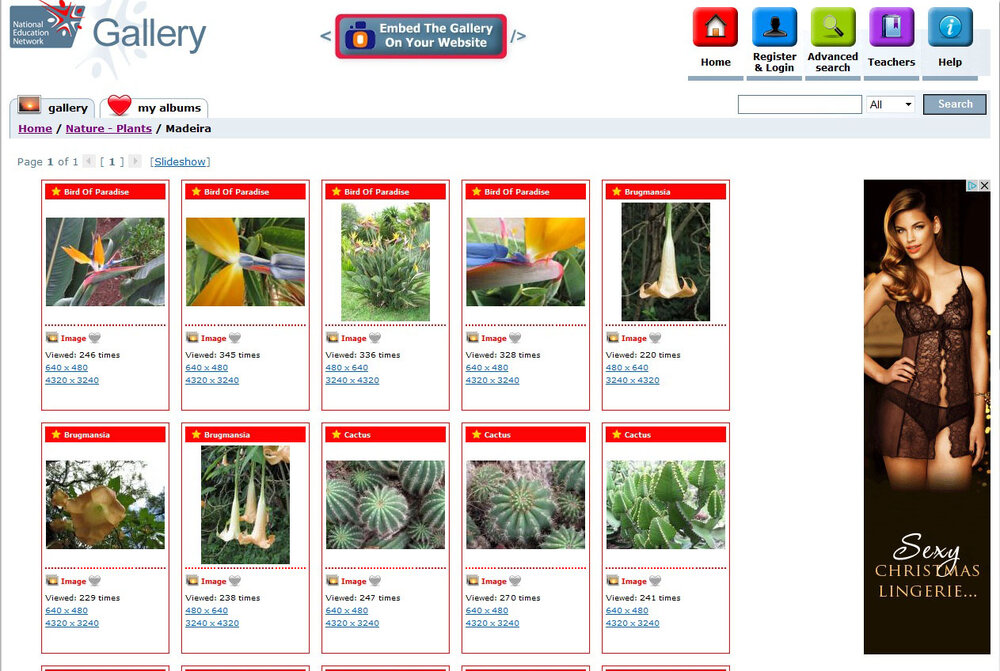 Image Gallery.jpg