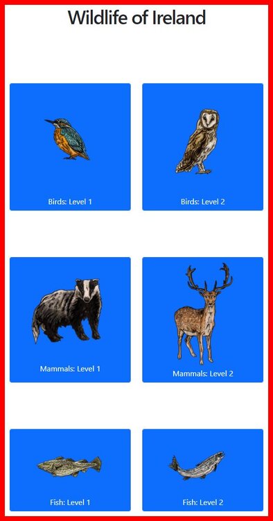 Ireland Wildlife Quiz Animals.jpg