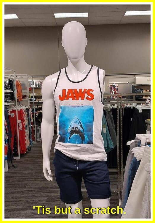 Jaws top on one armed mannequin.jpeg