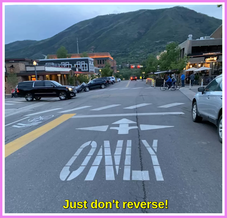 Just Don't Reverse.PNG