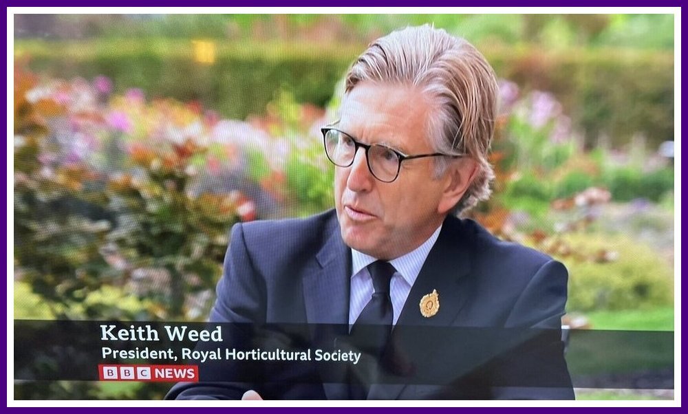Keith Weed.jpeg