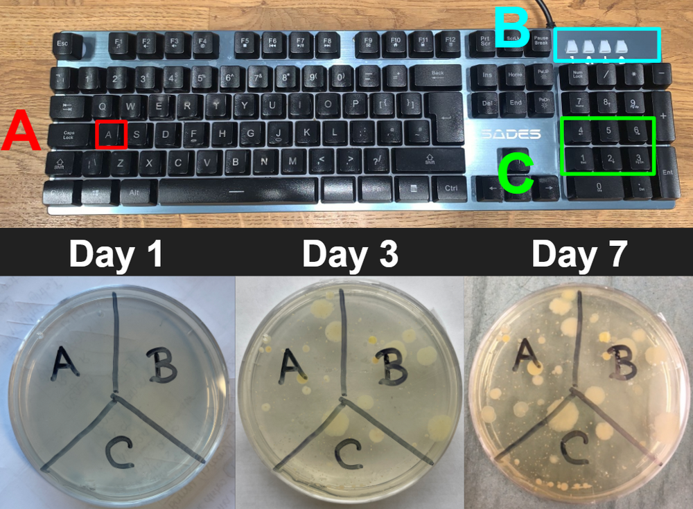 Keyboard.PNG
