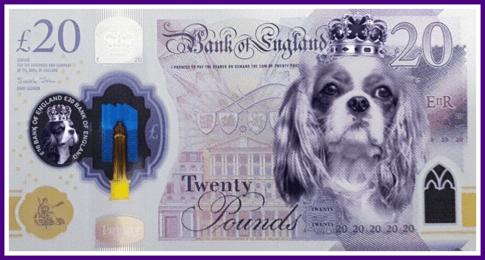 King Charles Bank Note.gif