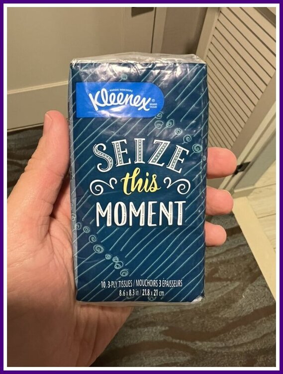 Kleenex - Sieze The Moment.jpeg