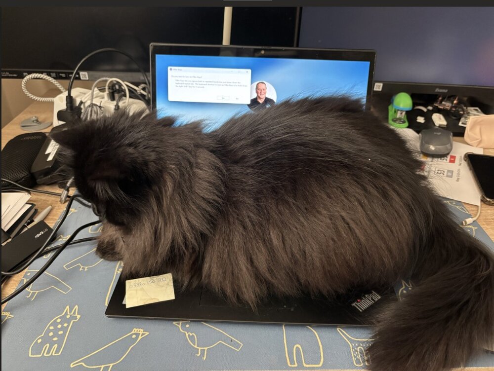 Lapcat.jpg
