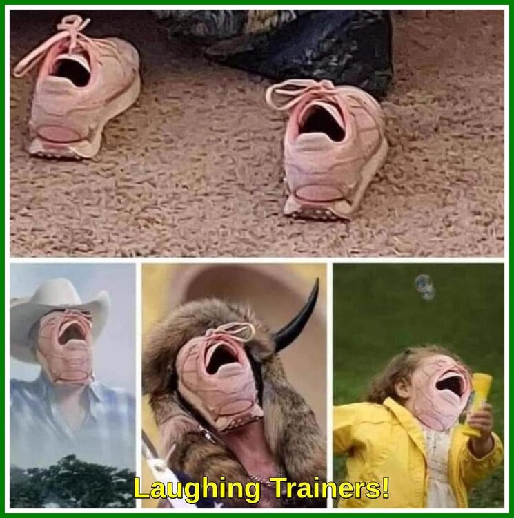 Laughing Trainers.JPG