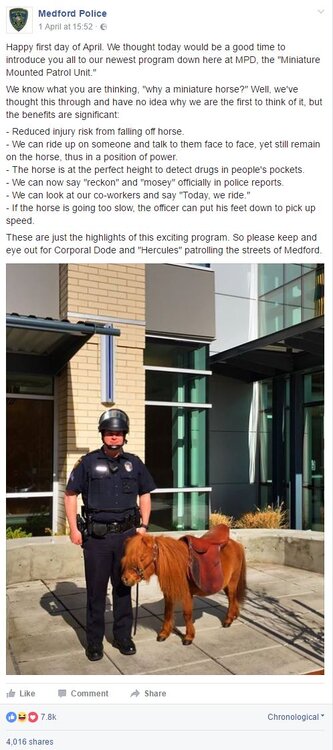 Medford Police Horse.jpg