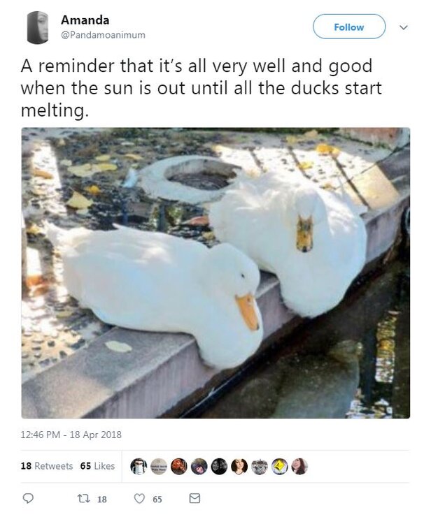Melting Ducks.JPG