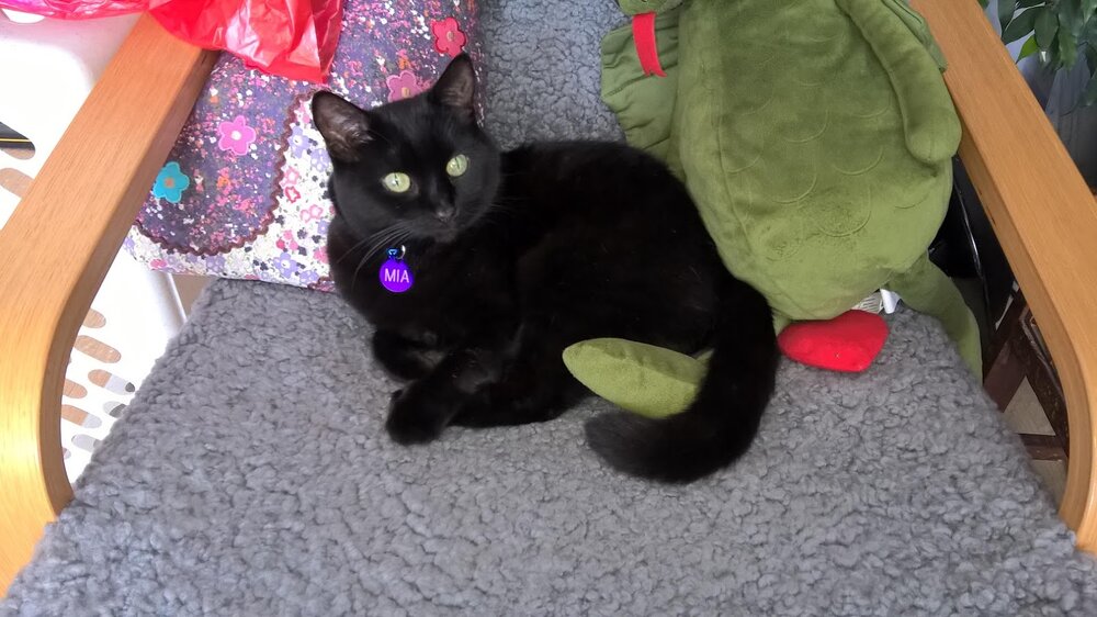 Mia01.jpg