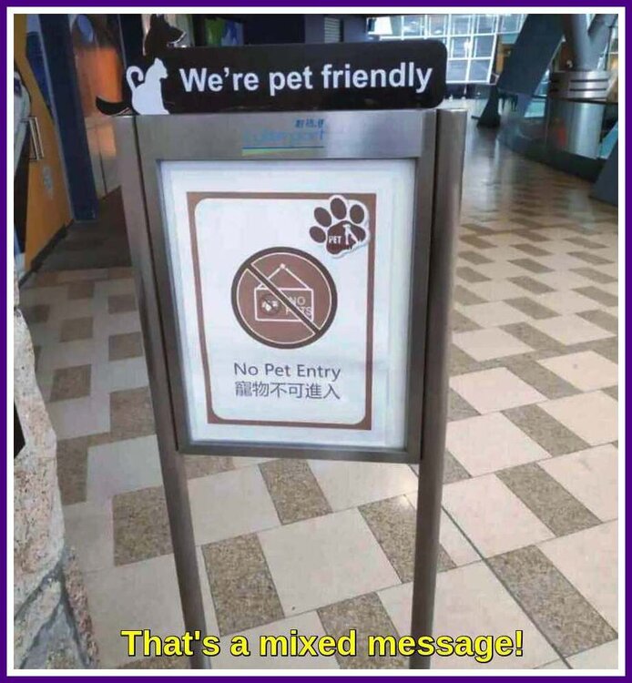 Mixed Message.jpg