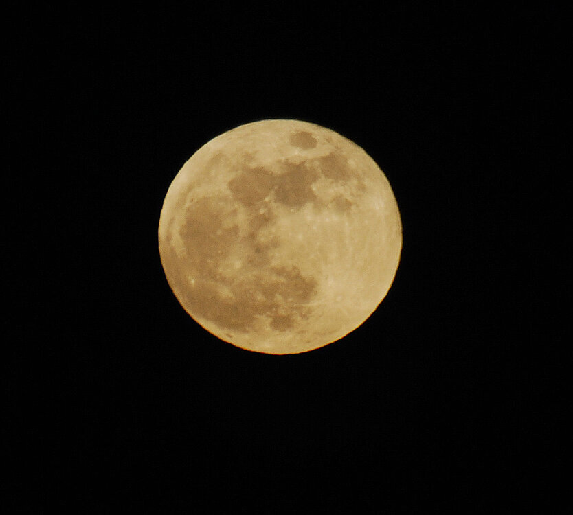 Moon.jpg