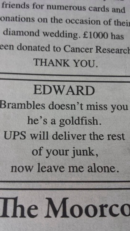 Newspaper...jpg