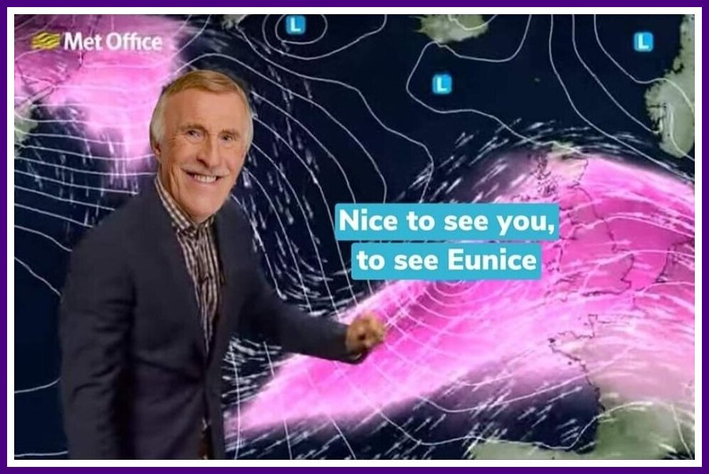 Nice To See You.jpeg