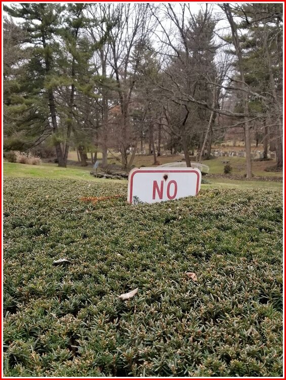 No.jpg