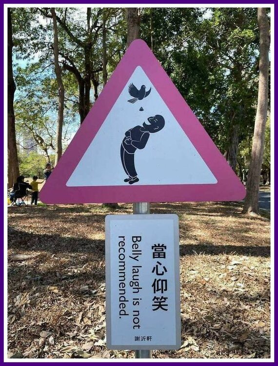 No Belly Laughs.jpeg