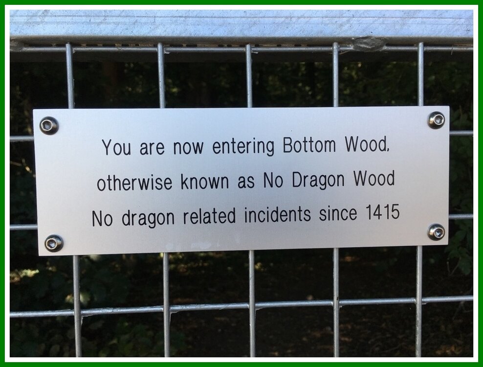 No Dragons.jpeg