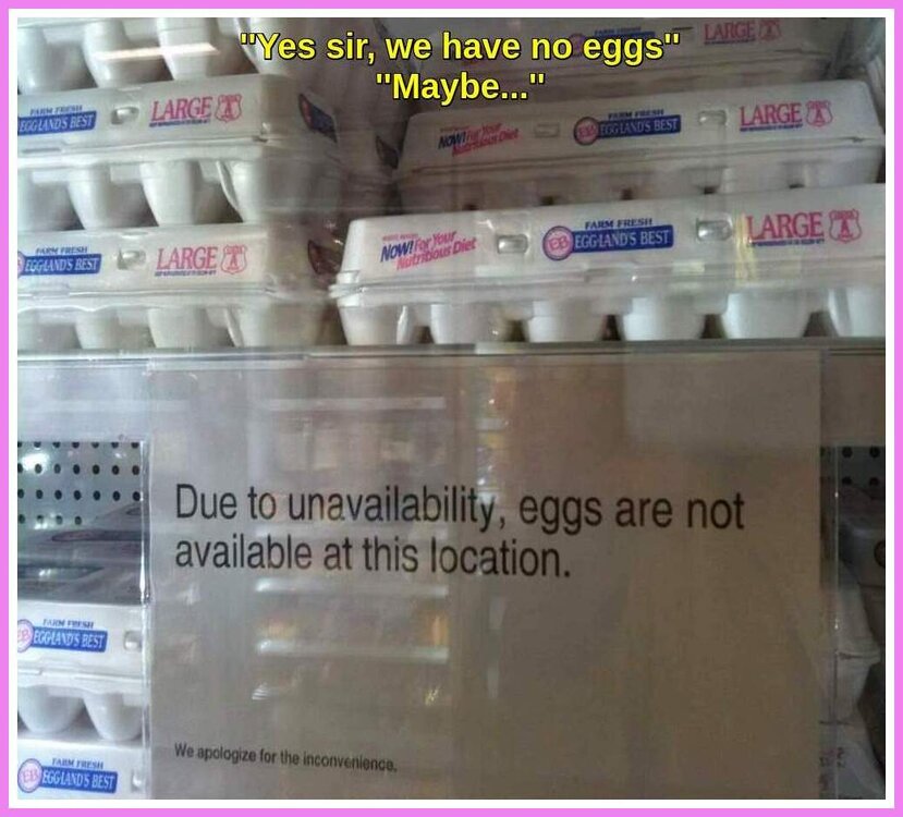 No Eggs.jpeg