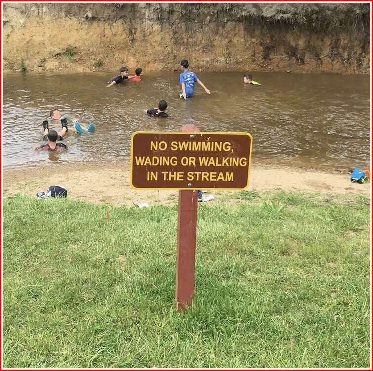 No Swimming.jpg