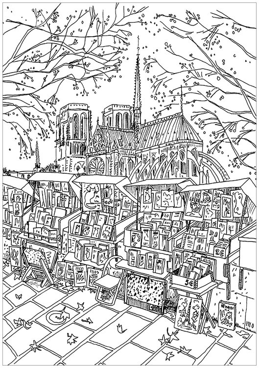 Notre dame de Paris Bookstore.jpg
