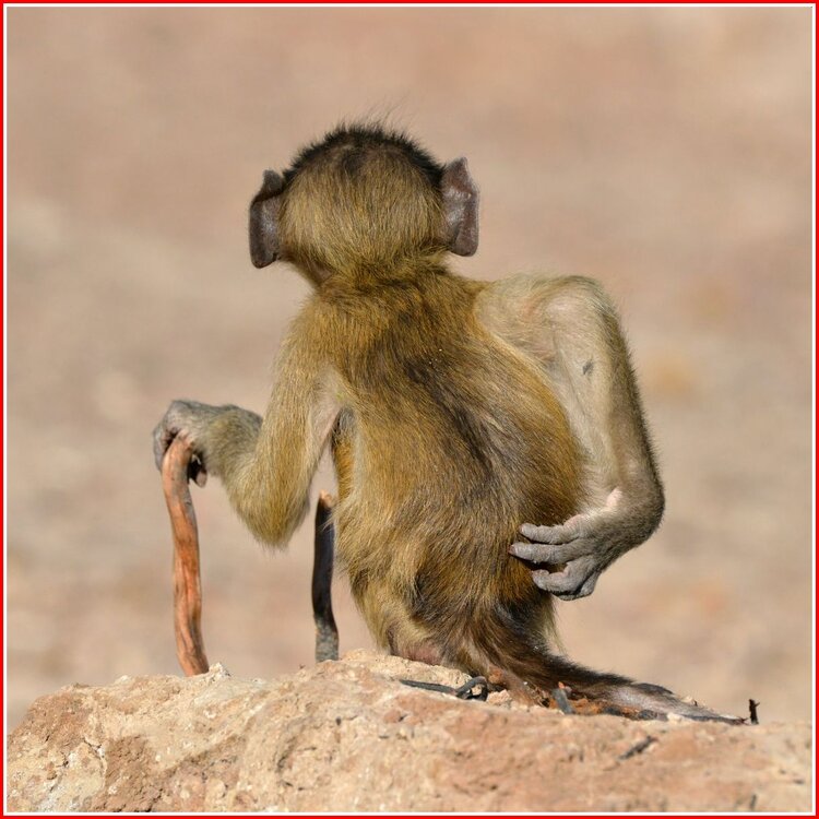 Ooh, my back!.jpg