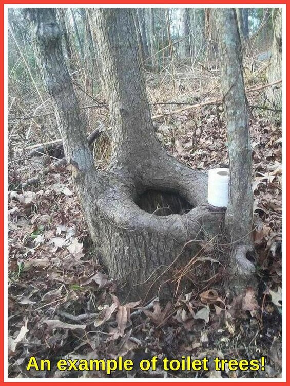 Outdoor Living.jpeg