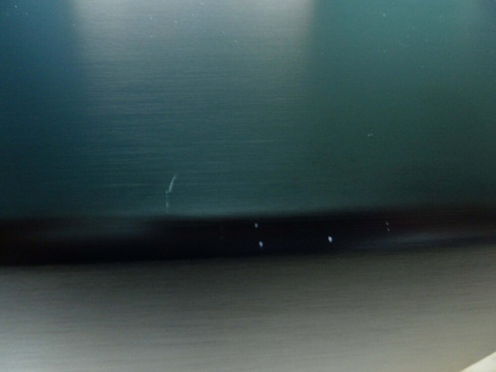 P1020973.jpg