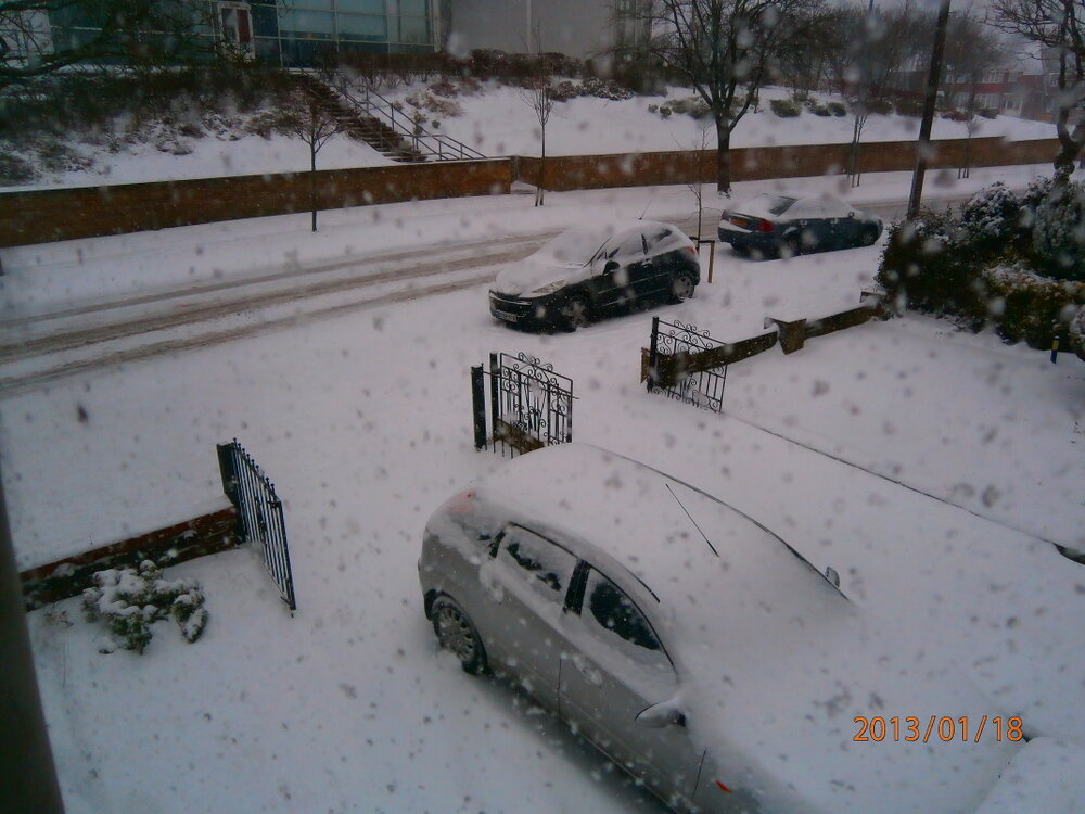 P1180017.JPG