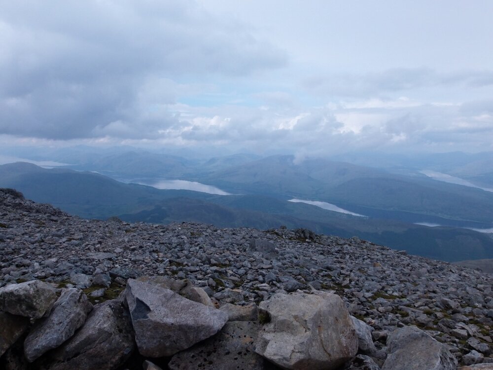 P5261305.jpg