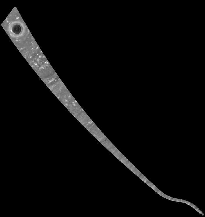 PIA21617_hires[1].jpg