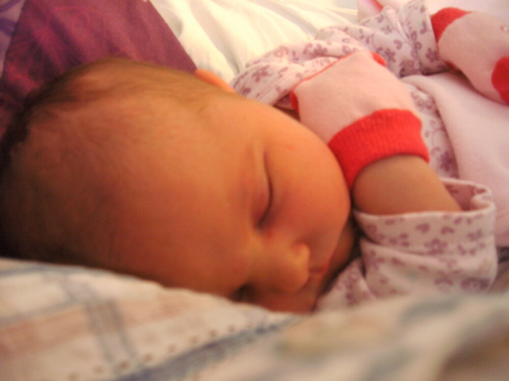 PICT1778.jpg