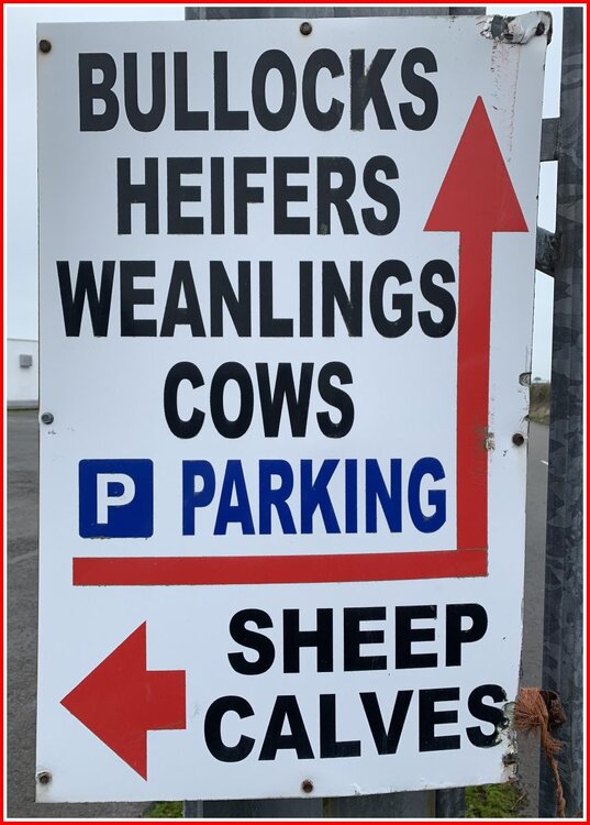 Parking Directions.jpg