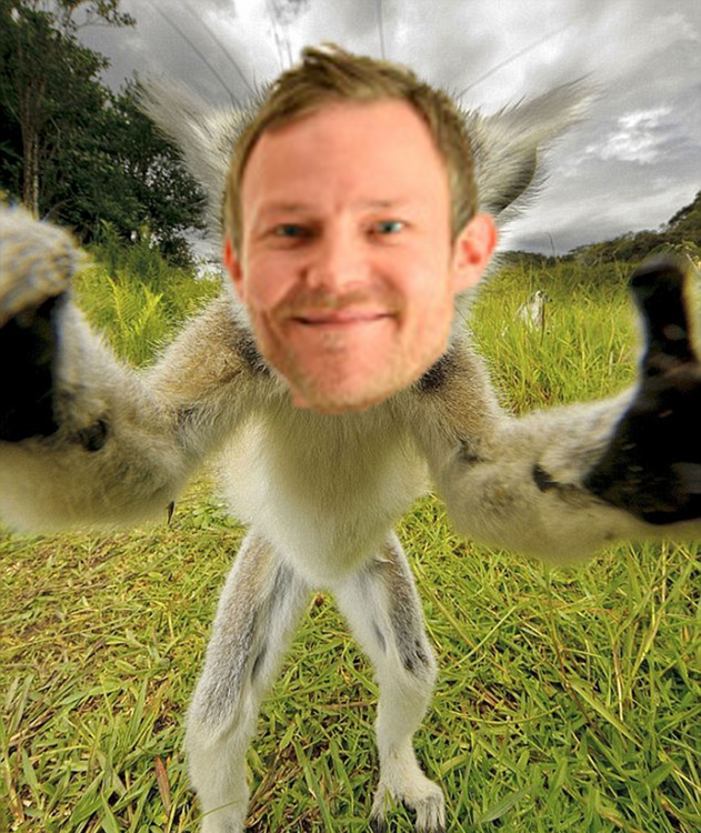 Picture1.png