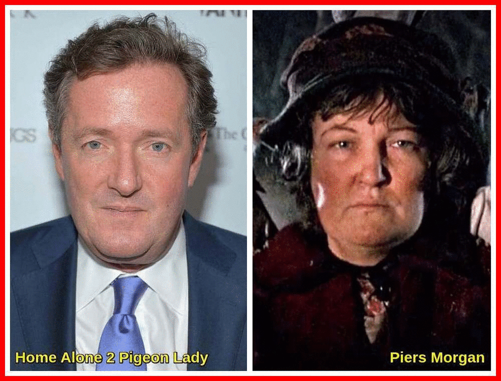 Piers Morgan Or Pigeon Lady.gif