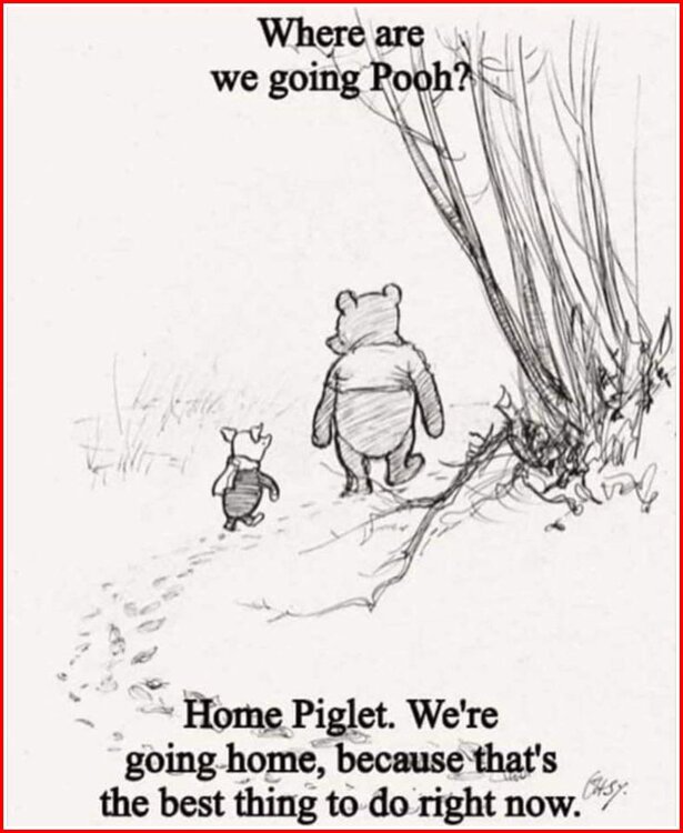 Piglet And Pooh Go Home.jpg
