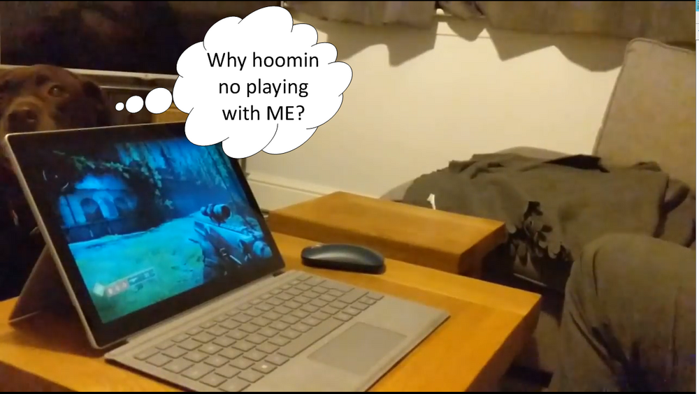 Play.png