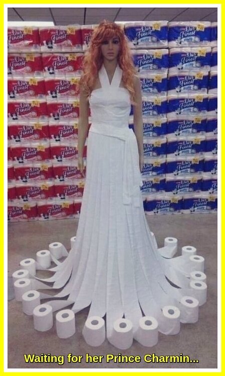 Prince Charmin.jpeg