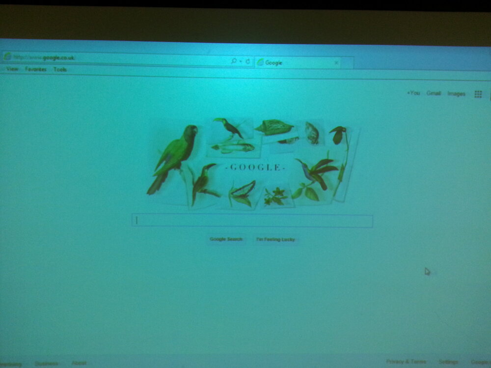 Projector.jpg