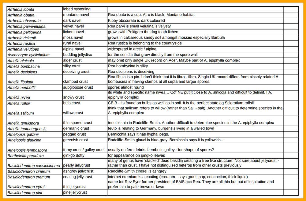 Proposed English Names.png