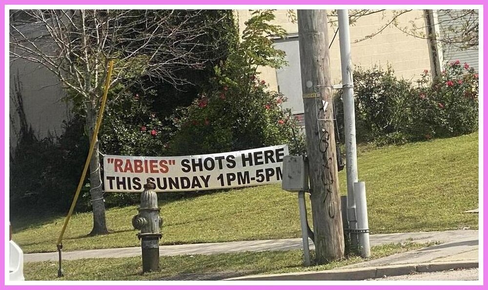 Rabies Shots.jpeg