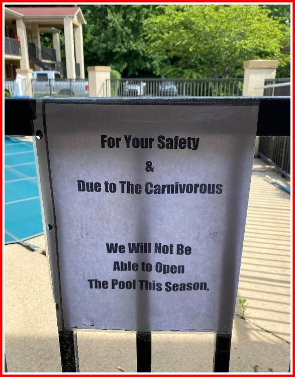 Reason For Closing The Pool.jpg
