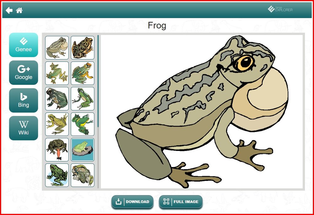 Resources-Animals-Reptiles and Amphibians-Frog.jpg