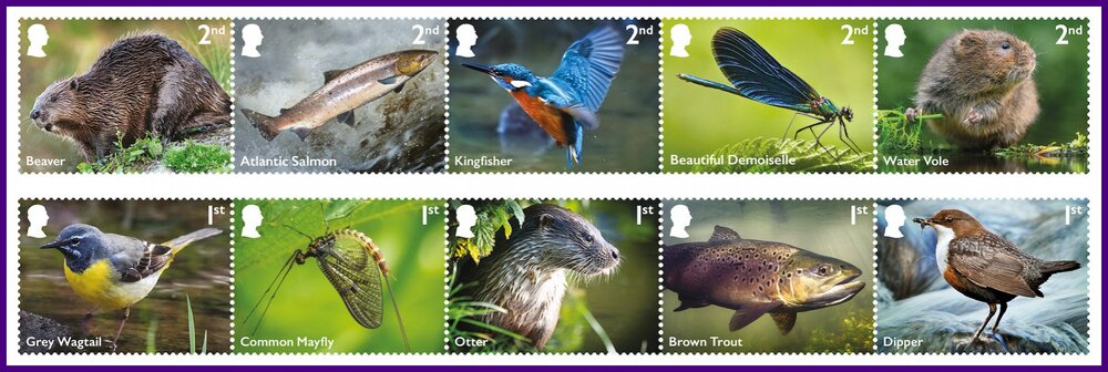 River Wildlife Stamp Set.jpg