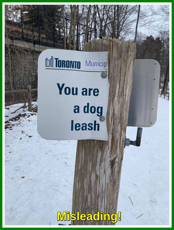 Rude, Toronto!.jpeg